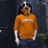 NCVolFan's profile picture