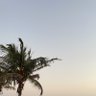 الحياة 🌸 的头像
