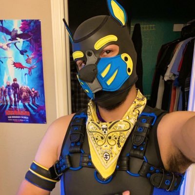 Pup_Hylas's profile picture