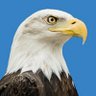 Profilbild von 🇺🇸 Daily Eagle 🦅™️