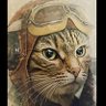 FurFlying's profile picture