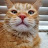 MattB profil fotoğrafı