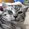 卓卓君 profil fotoğrafı