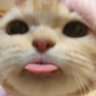 มีไว้บ่น🐾 profil fotoğrafı