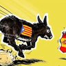 Frank Pine🎗”I am a catalan”'s profile picture