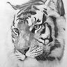 Mbah Kuwu's profile picture