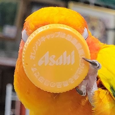 RMizumiotsu's profile picture