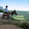 BILLOUARD Serge's profile picture