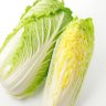 白菜 的头像