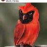 JP Finn's profile picture