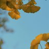 Фото профиля Amber