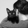 Thierry Le Chat profil fotoğrafı
