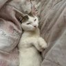 Фото профиля Ariana Rx