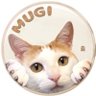 むぎ's profile picture