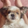 きょぱ profil fotoğrafı