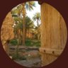 ابومحمد's profile picture
