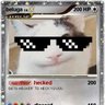 cat dog 的头像