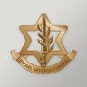 Israel Defense Forces's profile picture
