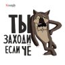 Fedorovich's profile picture