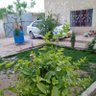 شبیراحمد ثناءالله profil fotoğrafı