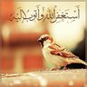 MnSa profil fotoğrafı