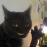 catcoco profil fotoğrafı