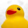 💛Don Pato 的头像