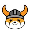 FLOKI's profile picture