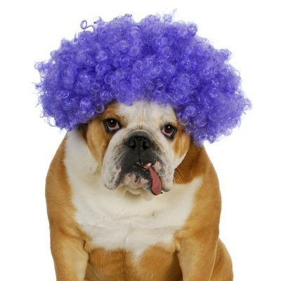 pandapetit5's profile picture