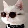 LILAARAM 💛💛's profile picture
