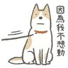 小金刚's profile picture