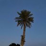 ابو عبدالرحمن profil fotoğrafı