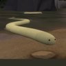 A TF2 Snake's profile picture