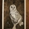 ScottCrosbyART 的头像