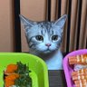 น้องตะขบ profil fotoğrafı