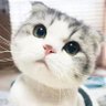 Kk🧡🧡~'s profile picture