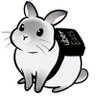 飼育係@🏍️🚴♂️🏃♂️🐰🐱 的头像