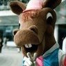 アホたけ's profile picture