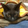 くー profil fotoğrafı