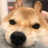name surname 的头像