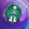 ابو طلال 🇸🇦 的头像