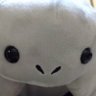 Profilbild von 順