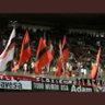 Flaxiense🚩🇵🇸's profile picture