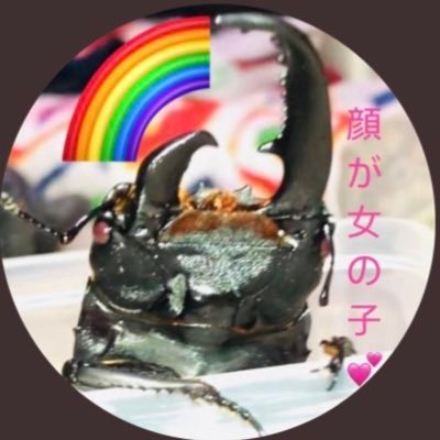 パラワン顔だけメス's profile picture