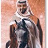 ابن عطيه Ⓜ️ 🇸🇦 的头像