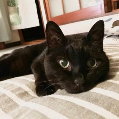 BLUE MINT's profile picture