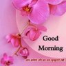Parmar Laxmanbhai's profile picture