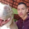 🐺 profil fotoğrafı