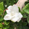 Фото профиля Lou Lou Cha