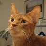 KATSUKI KATSUNORI profil fotoğrafı